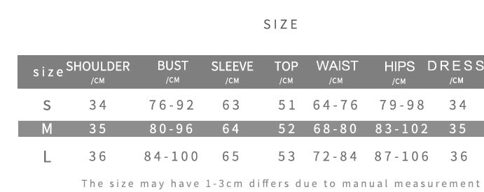 Wild Intentions Mesh Leopard 2-Piece Skirt Set