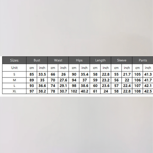 Mesh Majesty Two-Piece Set – Sheer Off-Shoulder Bodysuit & Slim Pants